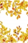 Preview: Indian Summer 2920