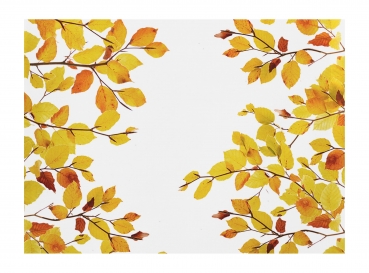 Indian Summer 2920