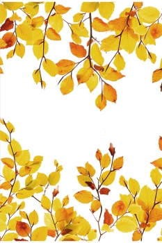 Indian Summer 2920