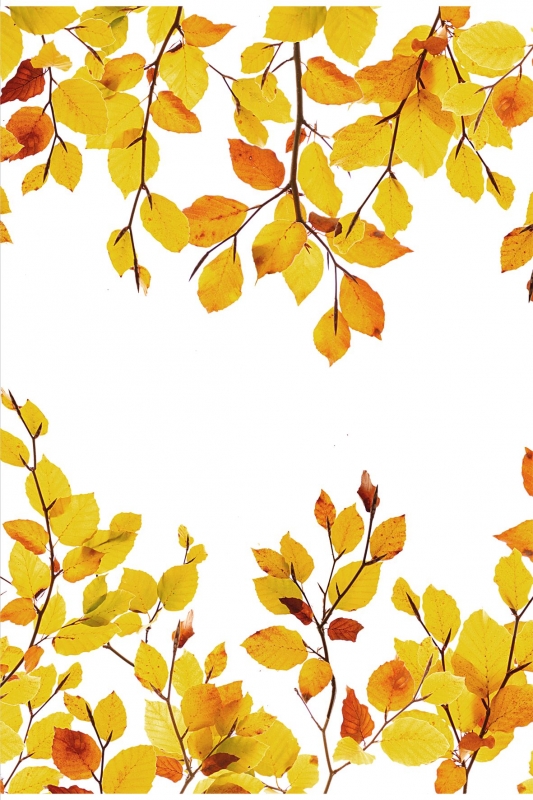 Indian Summer 2920