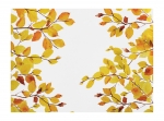 Apelt Tischset Indian Summer 2920